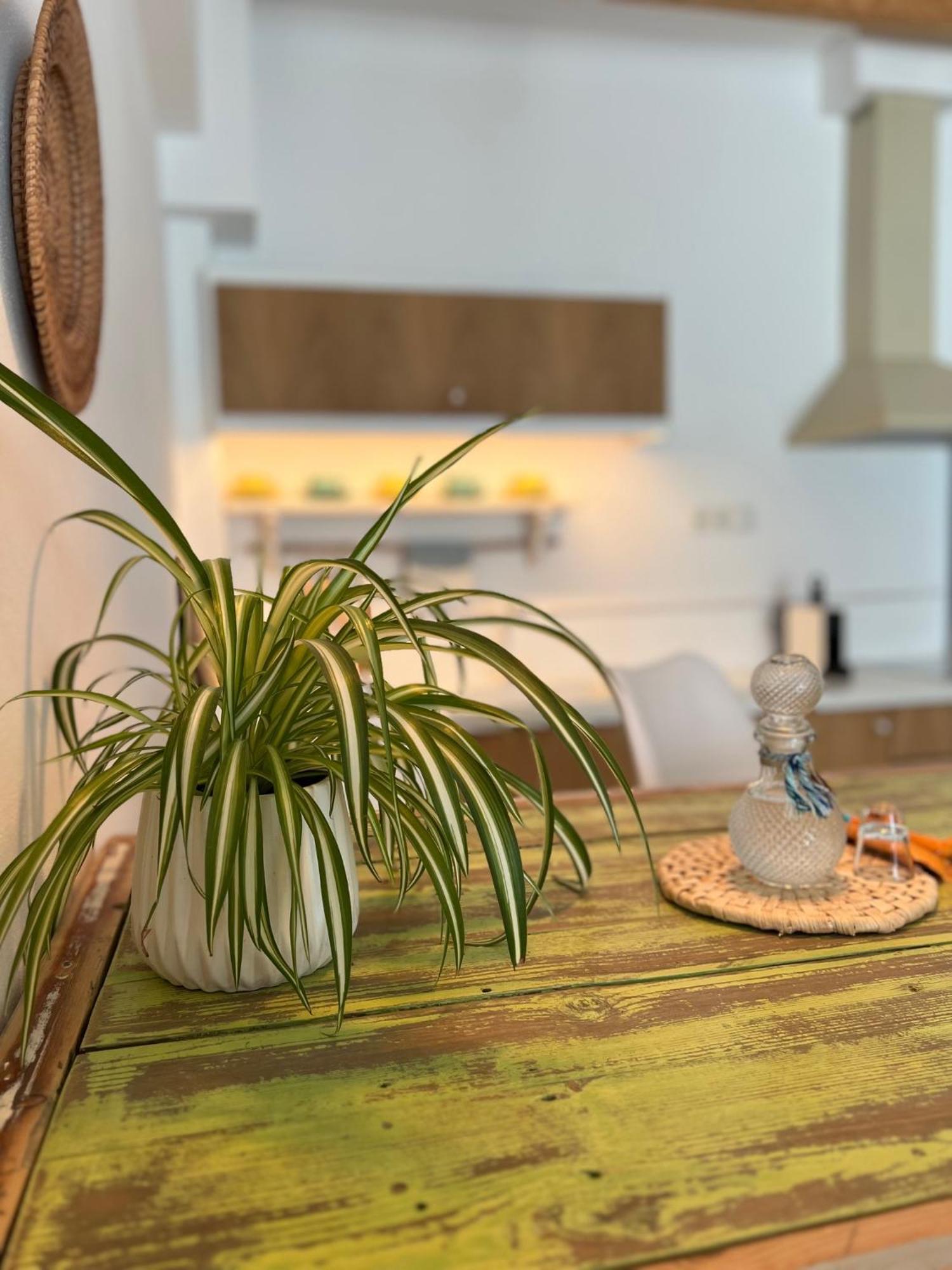 Notus Suites Plakiász Kültér fotó
